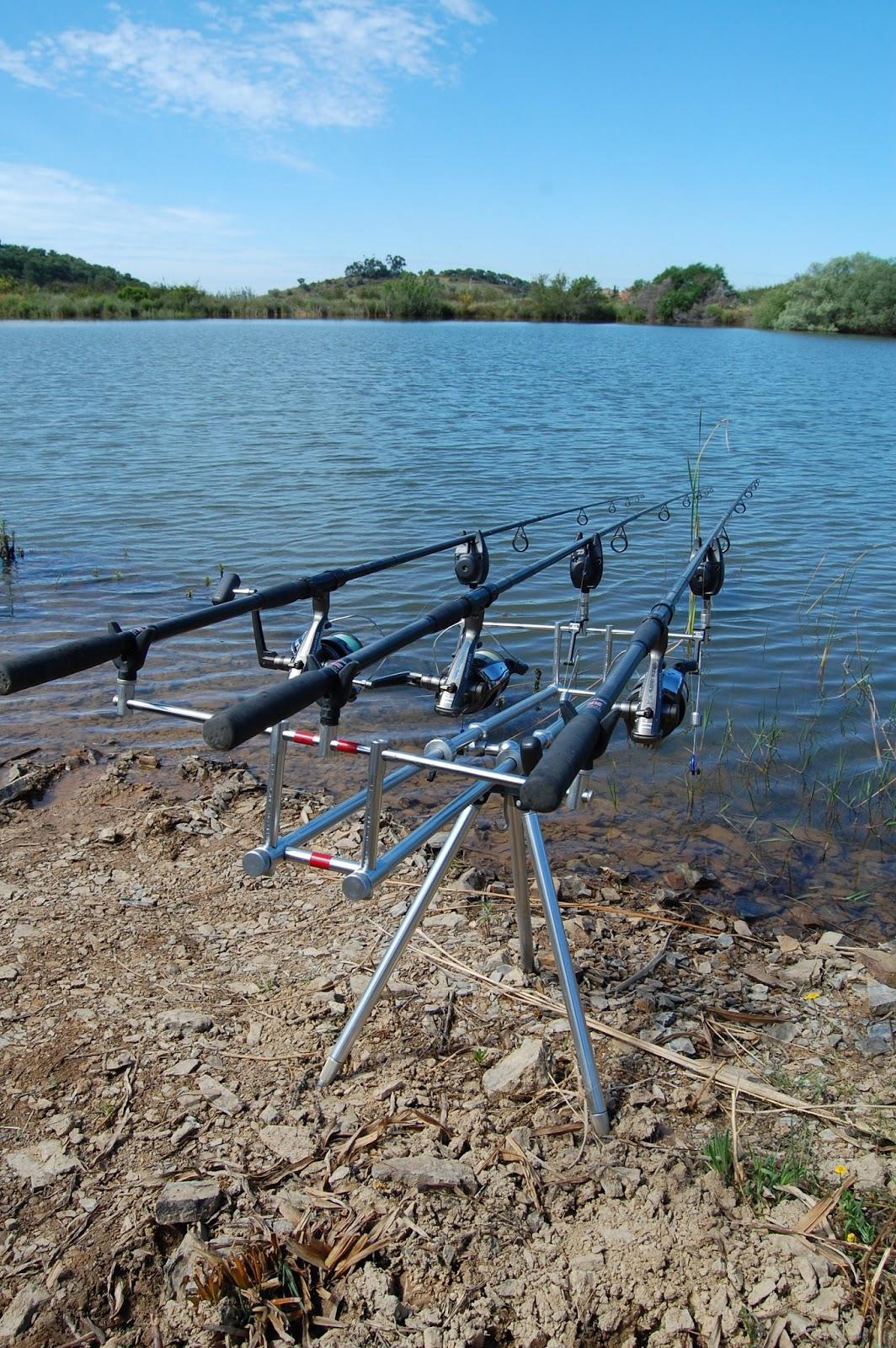 pescuitul+natura - dsc0021.JPG